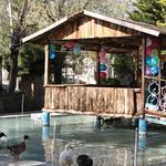 هتل باغ متولی باشی