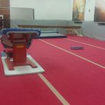 آکادمی و باشگاه ژیمناستیک و باله