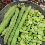 سبزی جات و صیفی جات آماده آریا