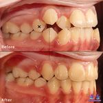 کلینیک تخصصی دندانپزشکی صدف(بیمه تکمیلی)