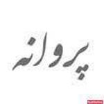 آرایشگاه پروانه