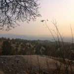 مسجد امیرالمومنین (ع) لویزان