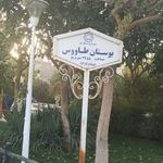 بوستان طاووس