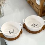 ظروف سرامیکی ارغوان