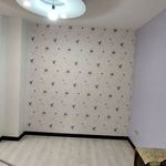 کاغذ دیواری پردیس پایتخت