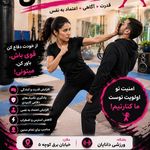 باشگاه رزمی دانایان