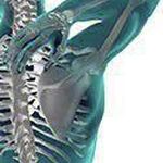 کلینیک ستون فقرات و مفاصل دکتر حسینی