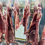 سوپر ‌پروتئینی آرمان