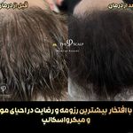 مرکز تخصصی میکرواسکالپ سر پریسا رجبی