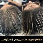مرکز تخصصی میکرواسکالپ سر پریسا رجبی