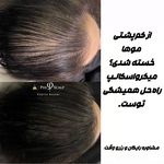 مرکز تخصصی میکرواسکالپ سر پریسا رجبی