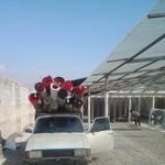 قالیشویی شاطری
