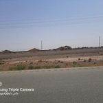 مرغداری سیمرغ