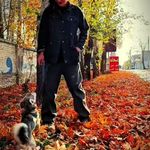 تربیت سگ ها آتوسا همتی