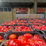 بارفروشی مرتضی حیدری