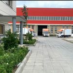 قالیشویی گل ابریشم