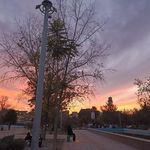 بوستان ترنج