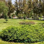 بوستان بانوان