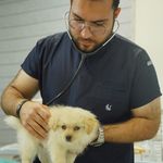 کلینیک دامپزشکی روژمان