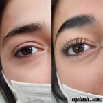 اکستنشن مژه و لیفت مژه و ابرو روشا