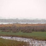 منطقه حفاظت گردیده مند