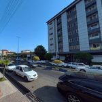 دفتر وکالت لیلا اکبری ثانی