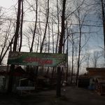 اغذیه و مارکت گلها