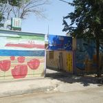 دبستان دخترانه شاهد لاله ها