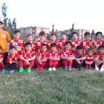 مدرسه فوتبال شاهین سرخ