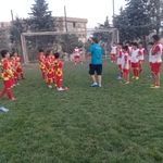 مدرسه فوتبال شاهین سرخ