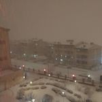 مجتمع شقایق