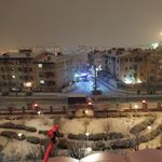 مجتمع شقایق