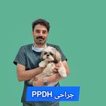 کلینیک دامپزشکی دنا