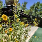 باغ عمارت افرا