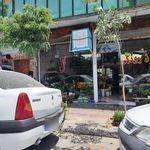 سفیر سبز