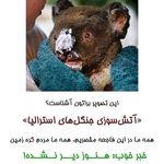 دکتر فرناز دهقان