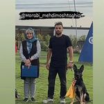 مربی سگ اصفهان ، باشگاه تربیت سگ پارتاک