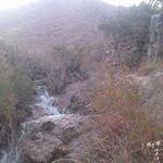 روستای فریزهند