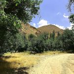 روستای فریزهند