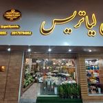 گل جردن