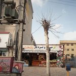 میوه فروشی قائم شهر