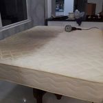 مجتبی حیدری