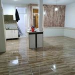 ناصر محمدی چناری