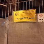 بهزیستی یاسر