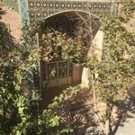 مسجد ولایت
