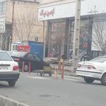 فروشگاه آذر حریق
