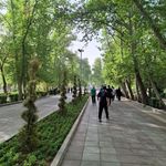 سرویس بهداشتی بوستان قائم شماره 2