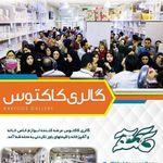 گالری کاکتوس