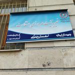 فاطمیون