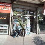 الکتریکی قائم